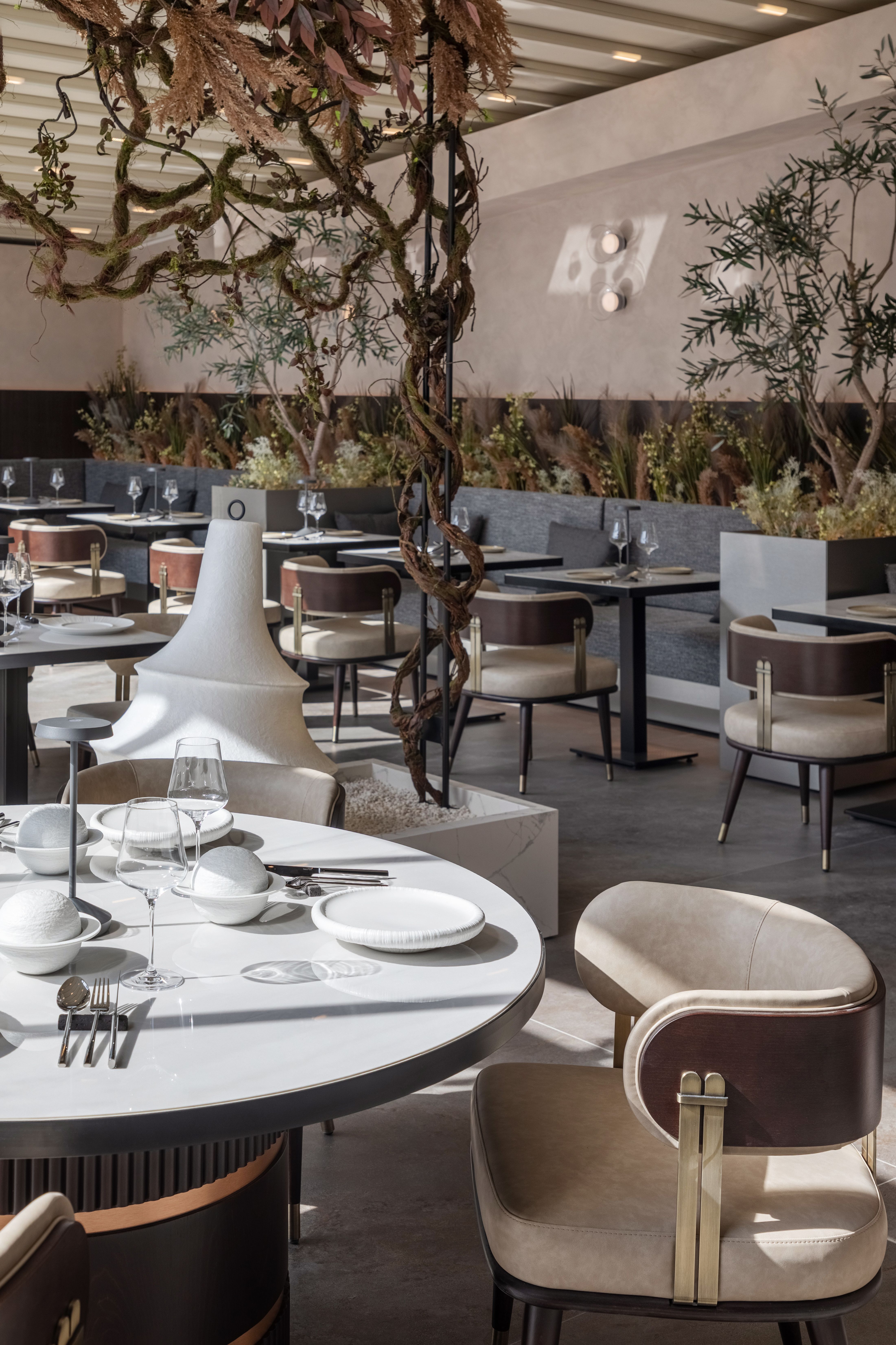 AURA Cuisine 4